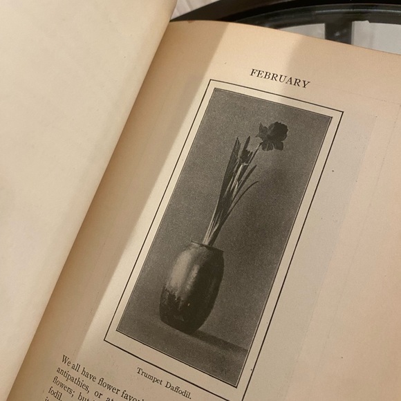 The School Garden Book By Waldo Emerson Antique Book
' - Picture 7 of 7